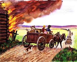 Wise About Texas tweet media