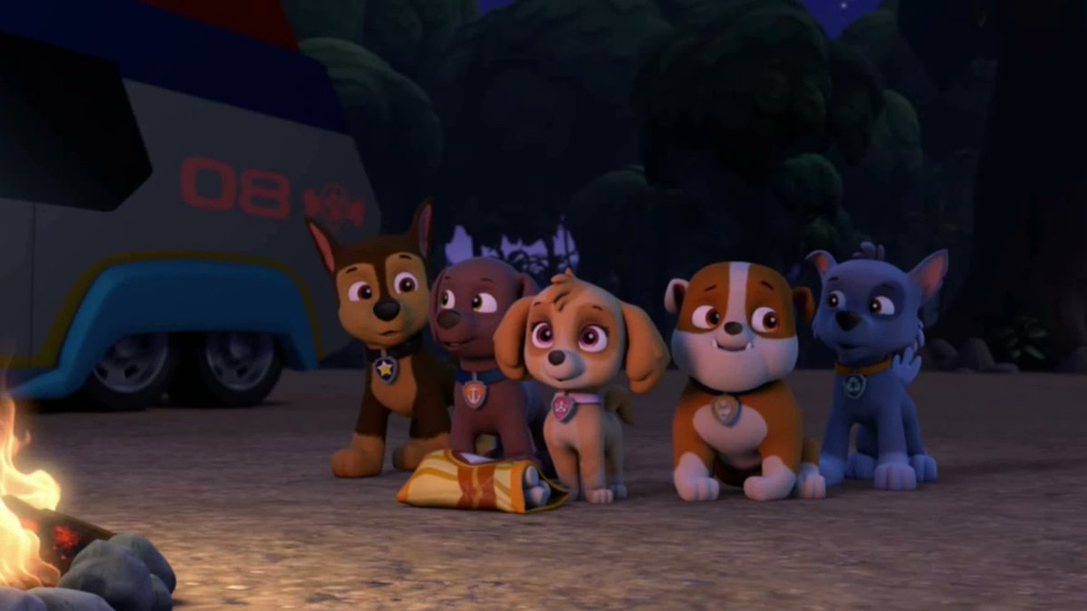 Zuma Pup Fanatic tweet media