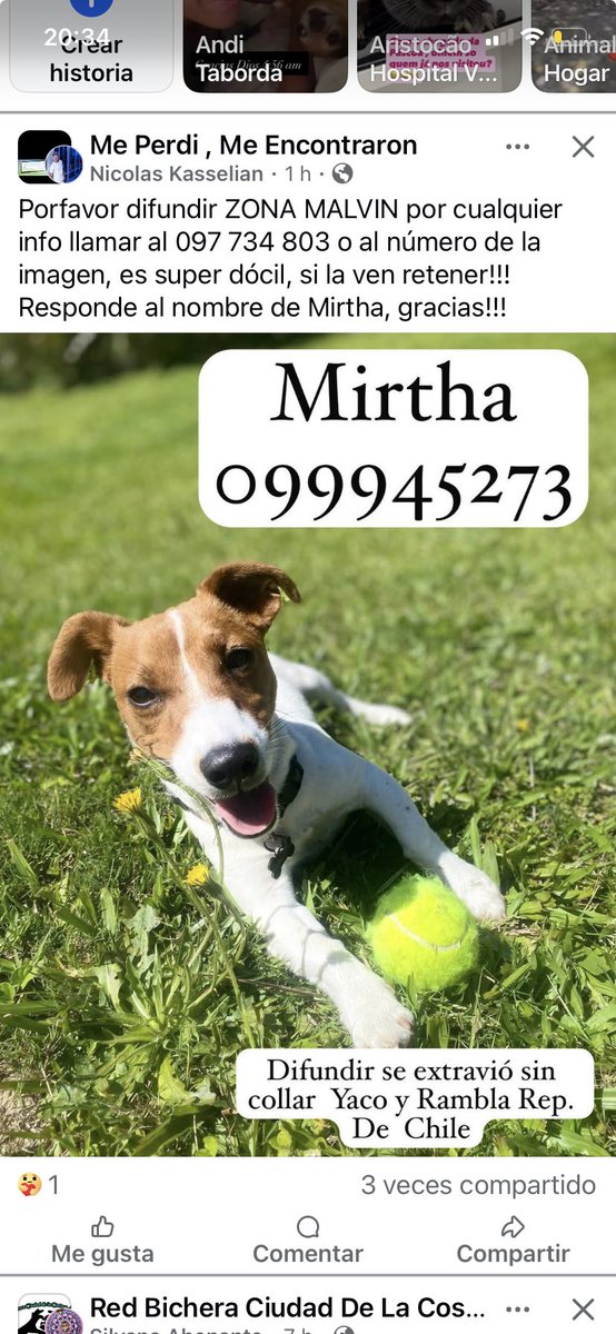 Adriana (@adriana43587622) on Twitter photo 