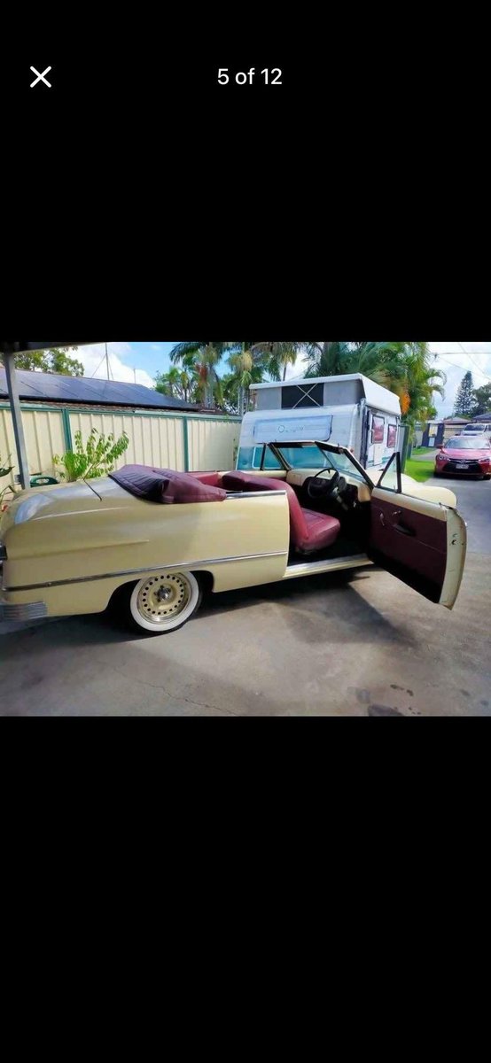 Connie 🇺🇸 tweet media