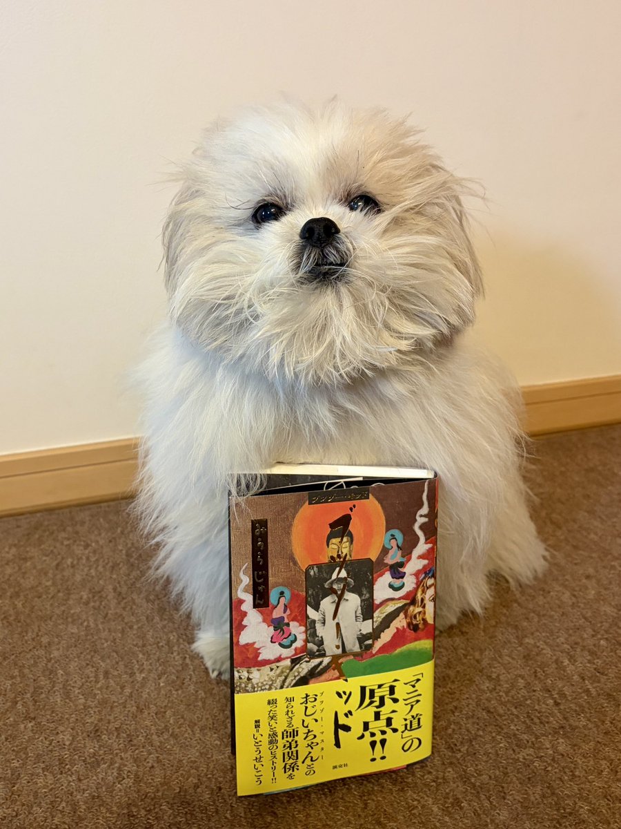 miurajun_net's tweet photo. ブツゾー・マスターのおじいちゃんとの師弟関係を綴った笑いと感動のヒストリー、みうらじゅんの新刊『ブツゾー・キッド』淡交社より明日3月19日発売です。解説は仏友いとうせいこうさん！
https://t.co/zUFNhtGGb5 https://t.co/1eoKQrdRtm