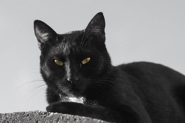 Isabel Skiles tweet media