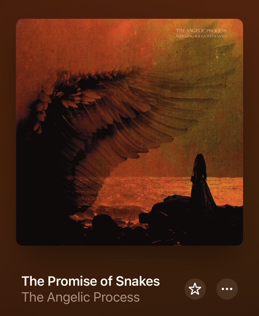 𝑀𝒶𝒸𝑒 tweet media