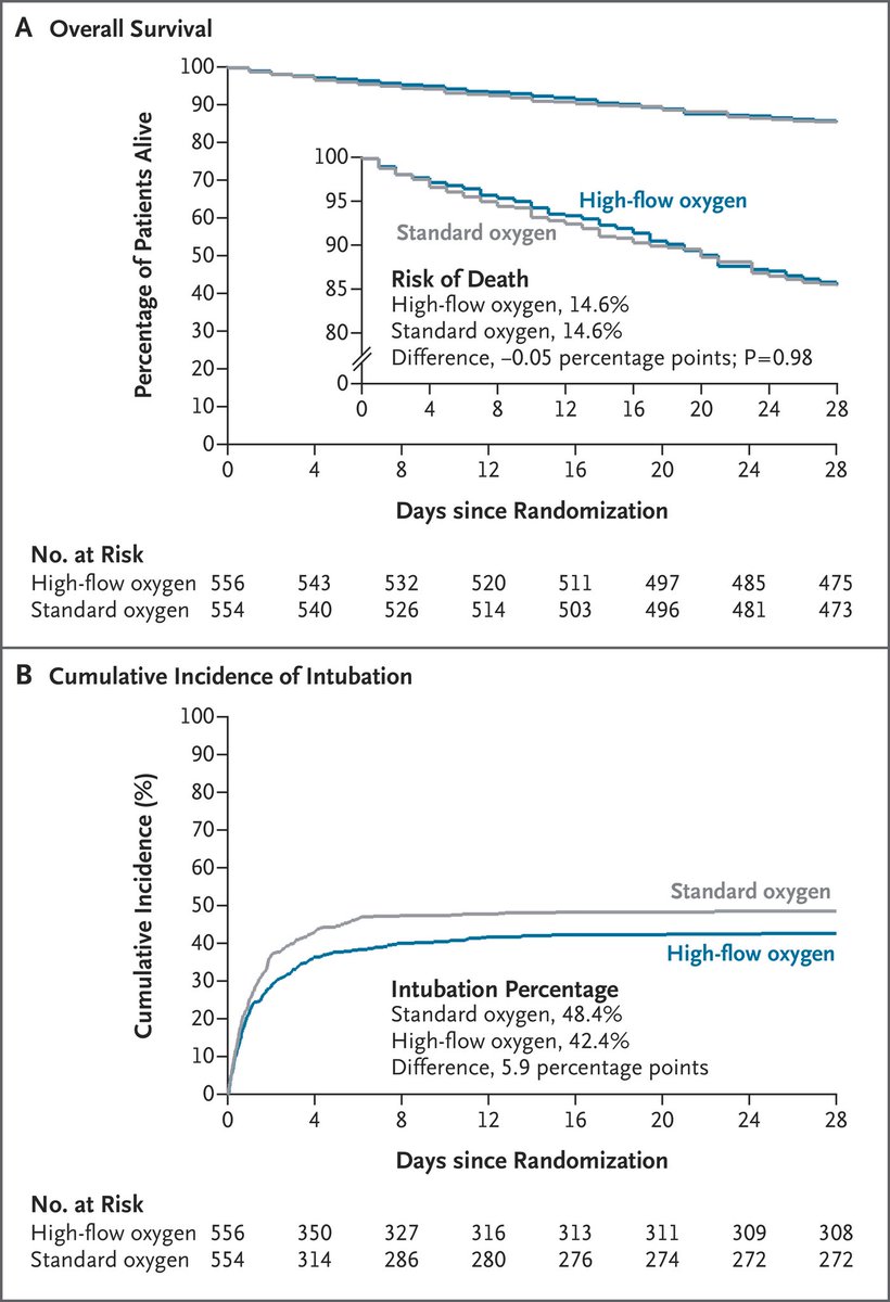 Nick Mark MD tweet media