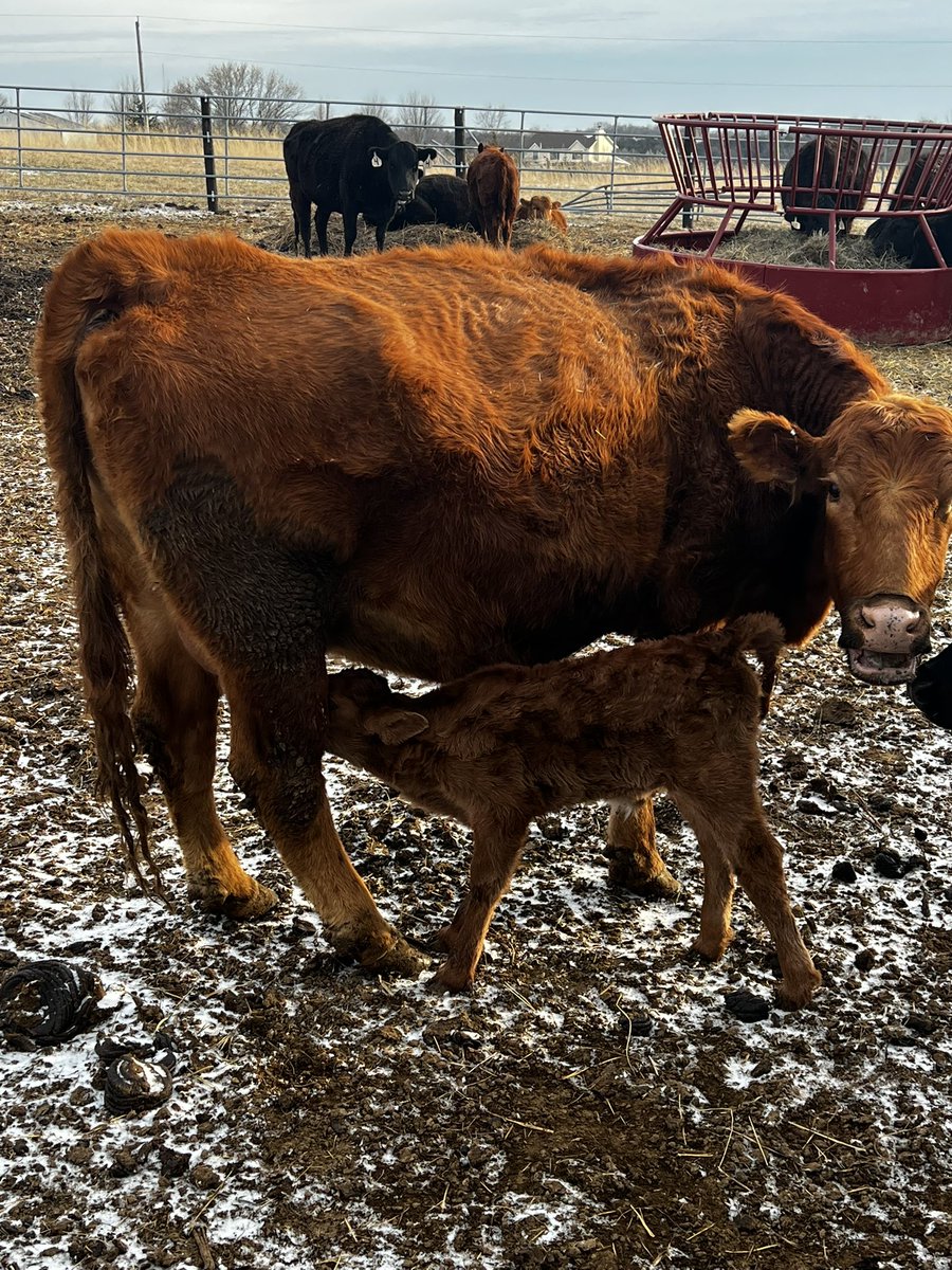 Rob 🖖🏼 tweet media