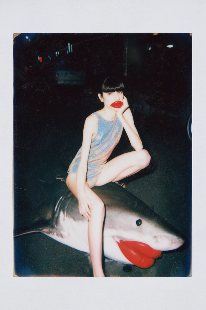 Chet Bliss tweet media