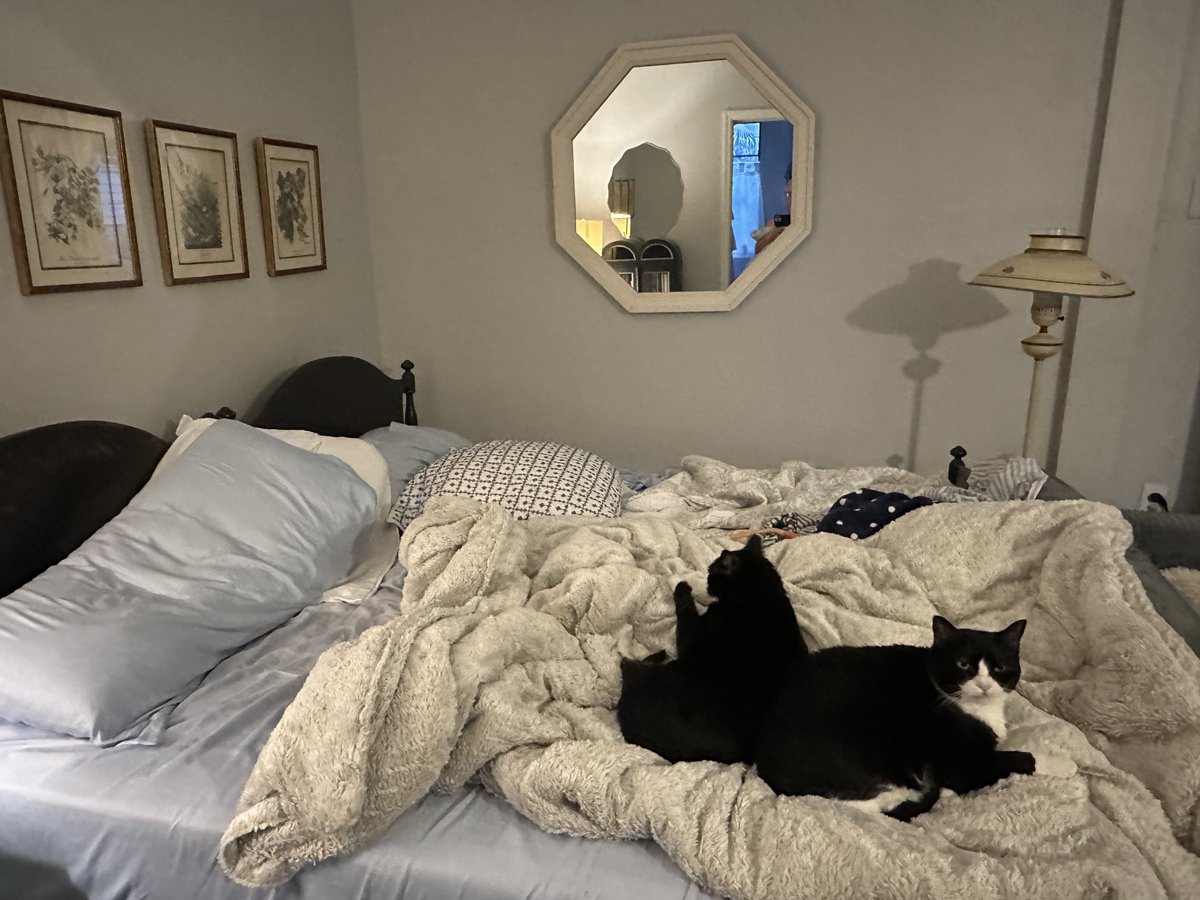 Patrick Skinner tweet media