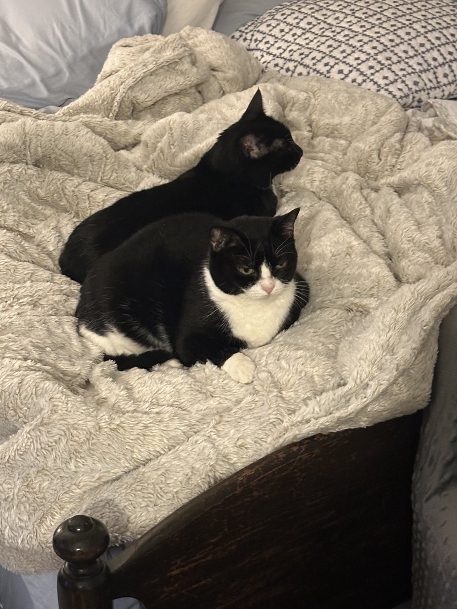 Patrick Skinner tweet media