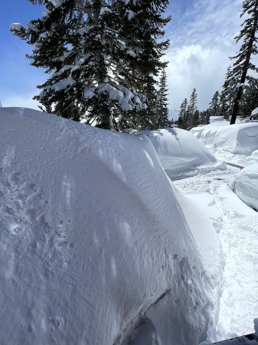 John Michaelson 🔭 tweet media