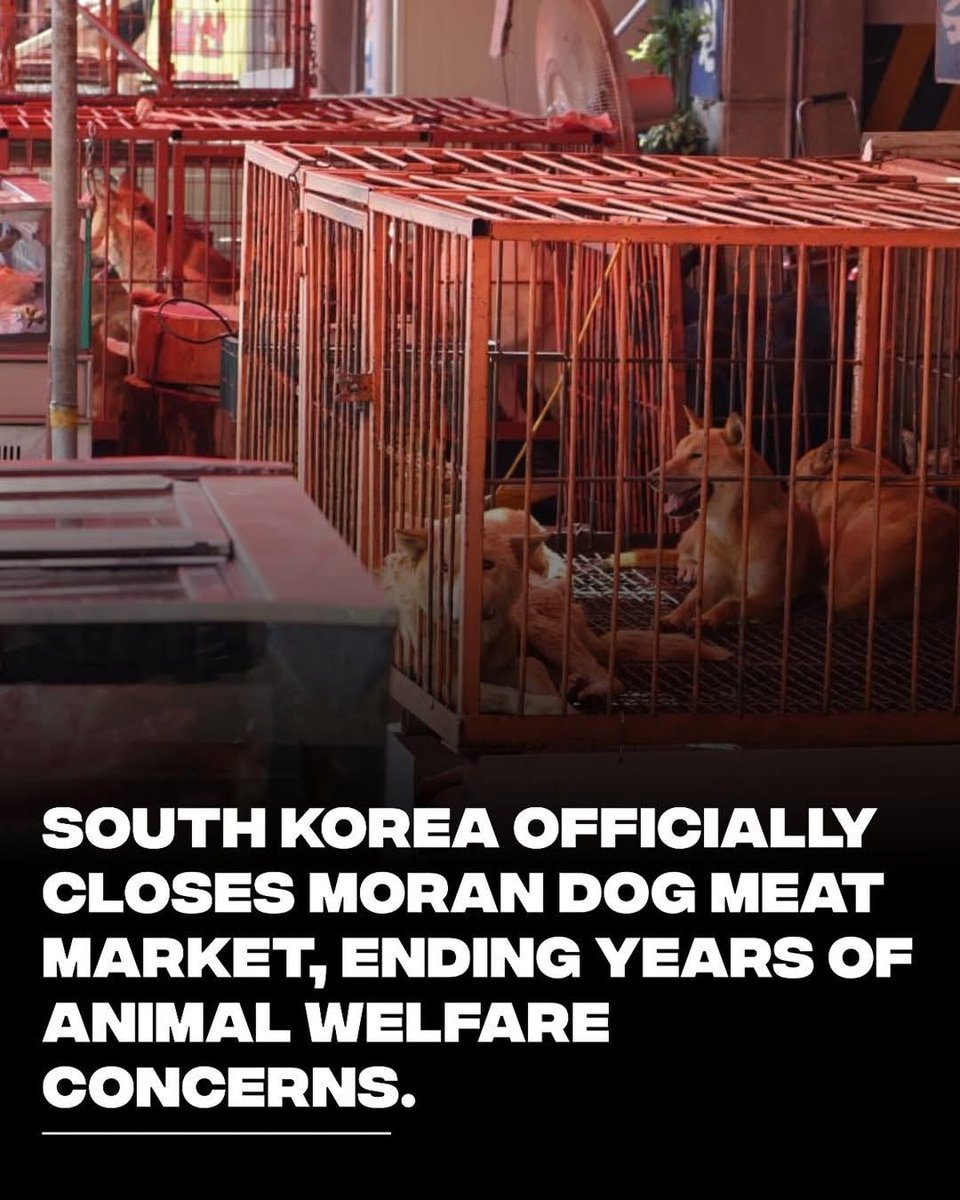 Fionaismybitch tweet media