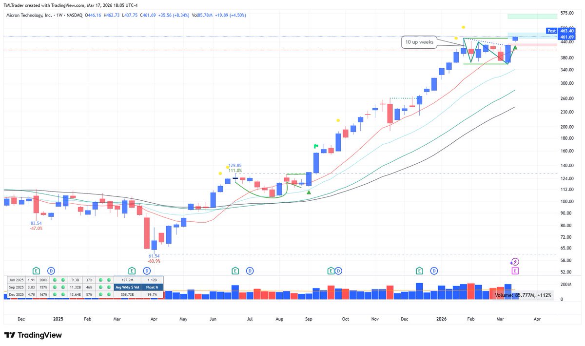 TML Trader tweet media