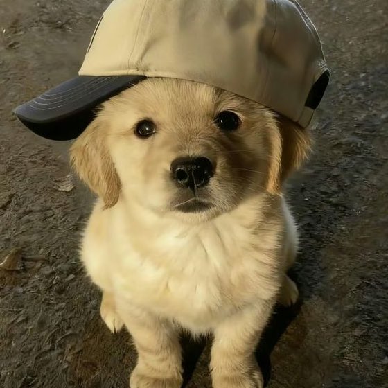 guifaver0's tweet image. Mds esse mês eu postei UM story #lowprofile