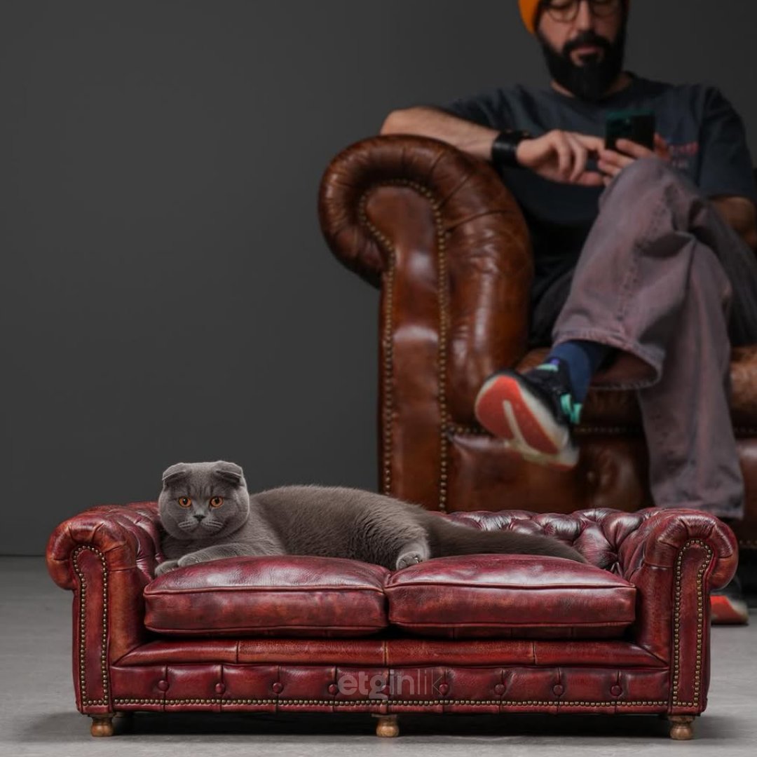 etginlik tweet media