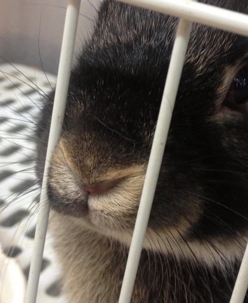 ほほえみり tweet media