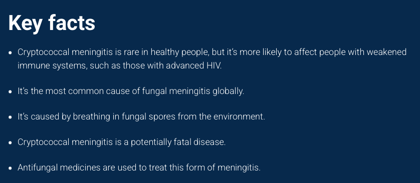 to10186's tweet photo. @toobaffled Get those filthy mouldy masks OFF their faces!
Masks make people sick! Fungus kills! Mould kills!
#fungalmeningitis #mouldspores #funguskills #masksoff #stoptheshots #meningitis https://t.co/CvG6hvt2yy