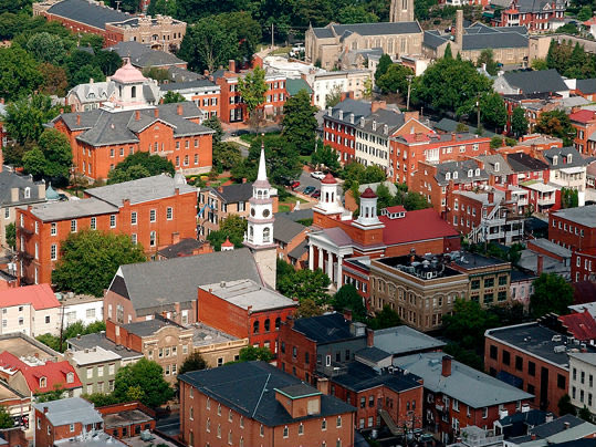 Average Joe tweet media