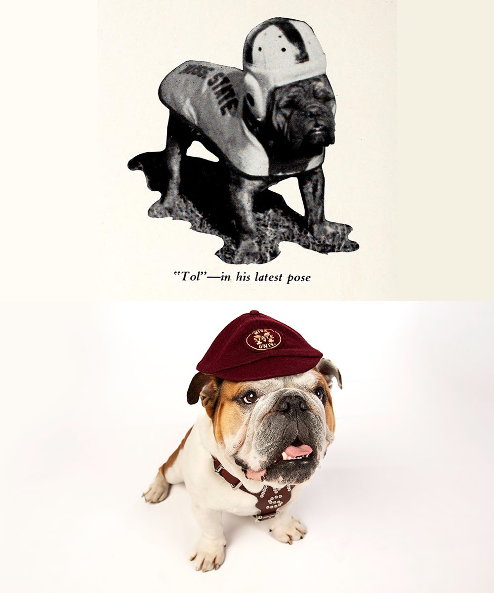 Mississippi State Alumni tweet media