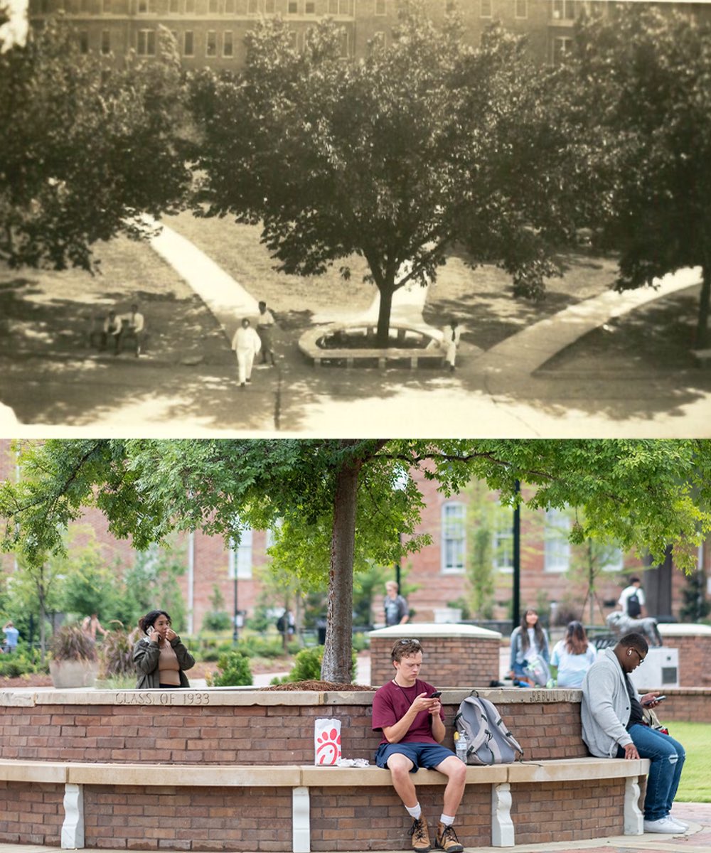 Mississippi State Alumni tweet media