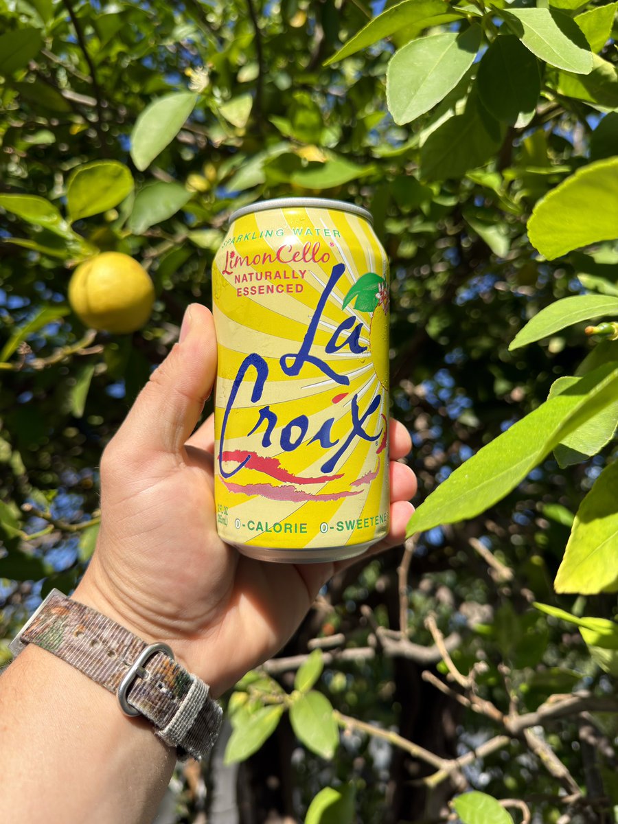 Jon Howell tweet media