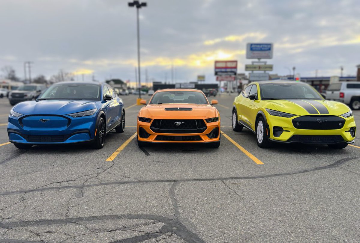 Robert ⚡️ tweet media