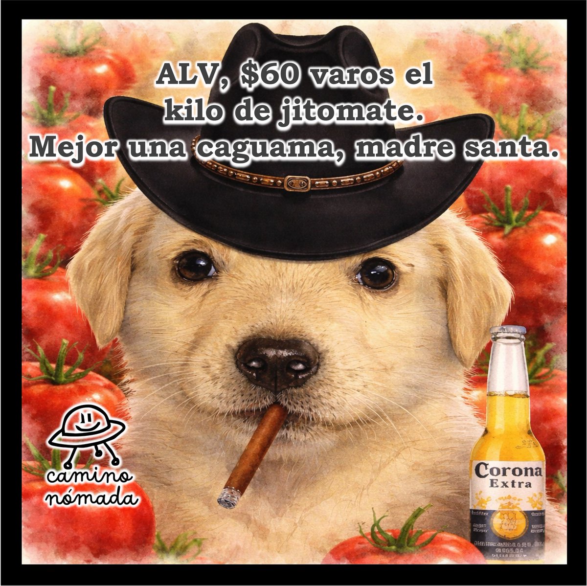 ⚡️Camino Nómada⚡️ tweet media