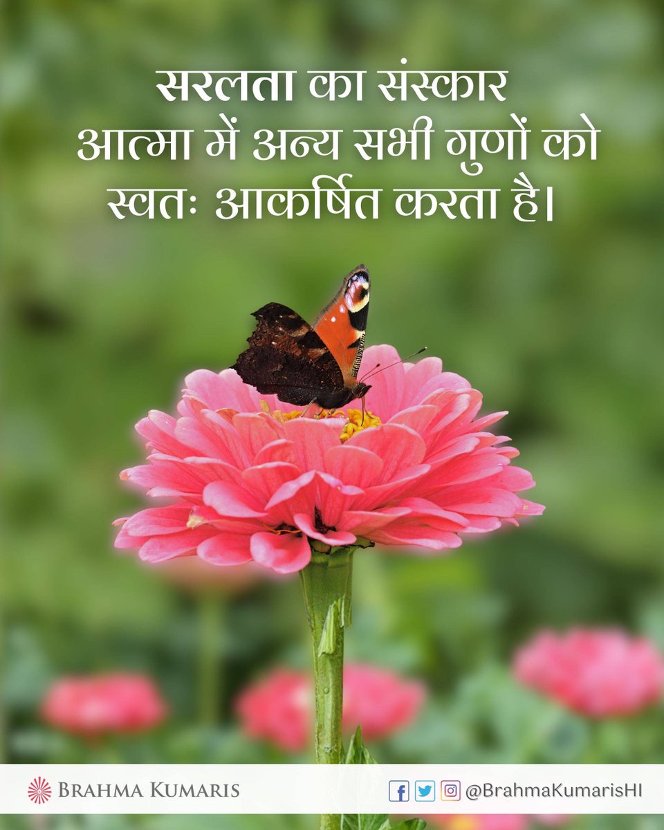 BrahmaKumarisHI's tweet photo. सरलता आत्मा को हल्का, सच्चा और सहज बनाए रखती है। जब हम दिखावे और जटिलता को छोड़कर सरलता अपनाते हैं, तो शांति, प्रेम और विनम्रता जैसे गुण स्वतः जीवन में प्रकट होने लगते हैं।
आज आप अपने व्यवहार में सरलता को कैसे अपनाएँगे?
#brahmakumaris #bkhindi #thoughtfortoday https://t.co/7yjVjFLJ5E