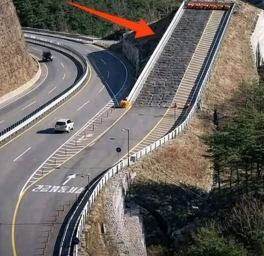 Connie 🇺🇸 tweet media