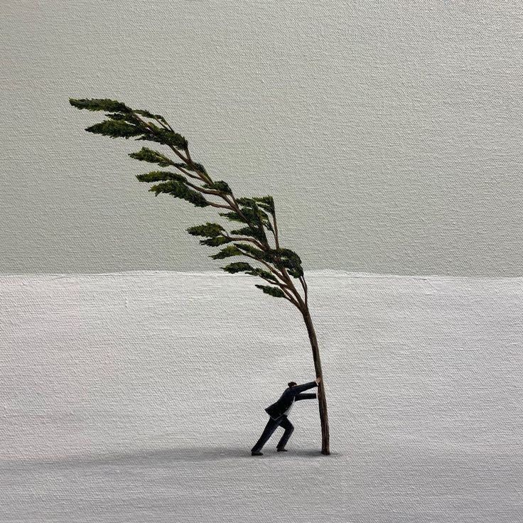 هاشم الجحدلي tweet media