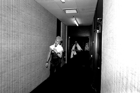 bulbous salutation tweet media