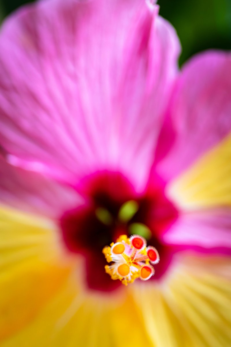 ヒロ福地 tweet media