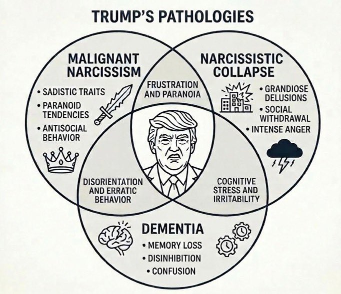 Isabel M tweet media