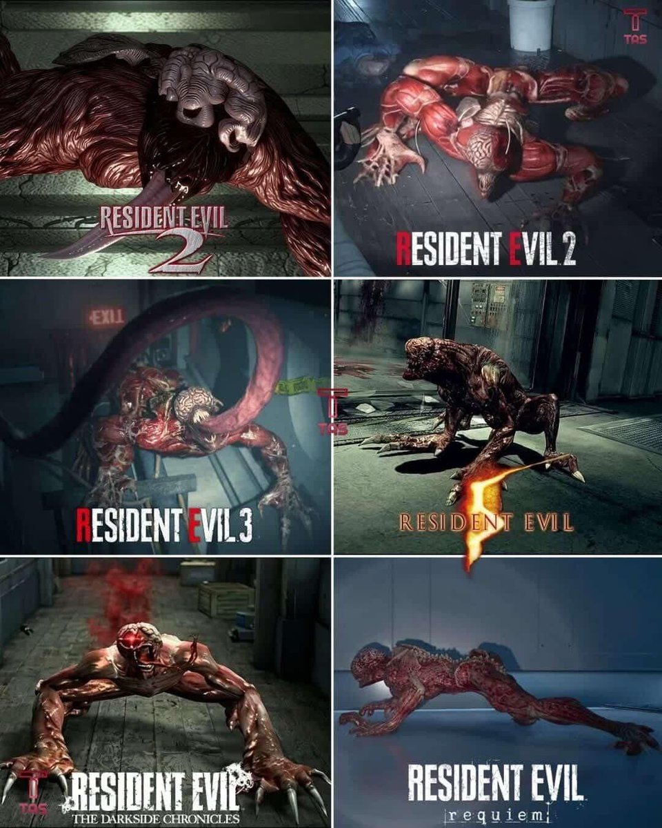 Ludwig | Abuhussain tweet media