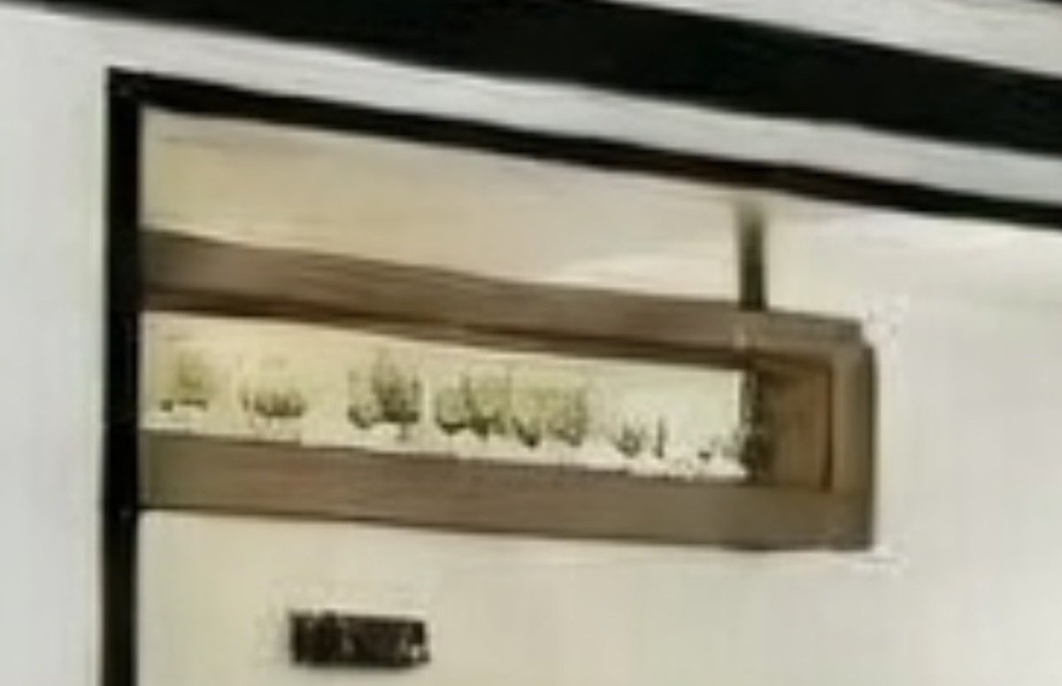 ♕ нαιℓ тιттιєѕ & 𝔸𝕕𝕒𝕞 𝕊𝕙𝕖𝕖𝕝 𝕊𝕦𝕒𝕣𝕖𝕫 tweet media