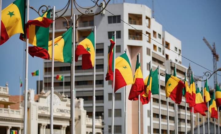 alpha 🇸🇳 tweet media