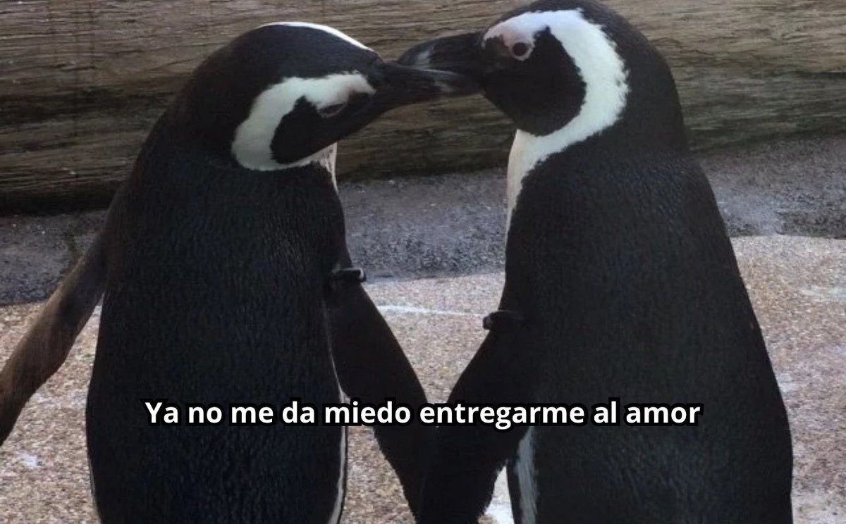 emociones amarillas tweet media