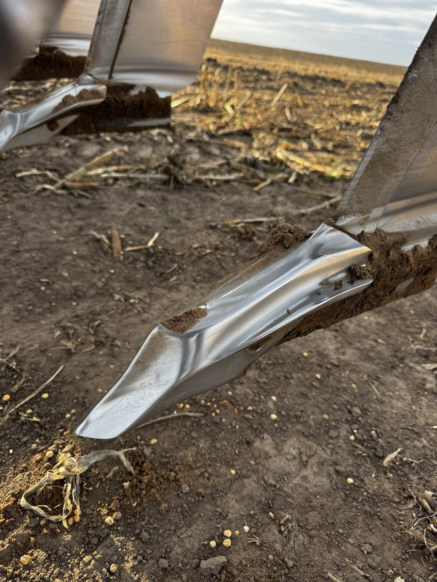 Denton Clark tweet media