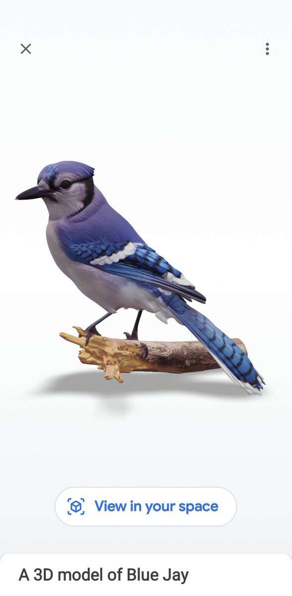 Natural AI tweet media