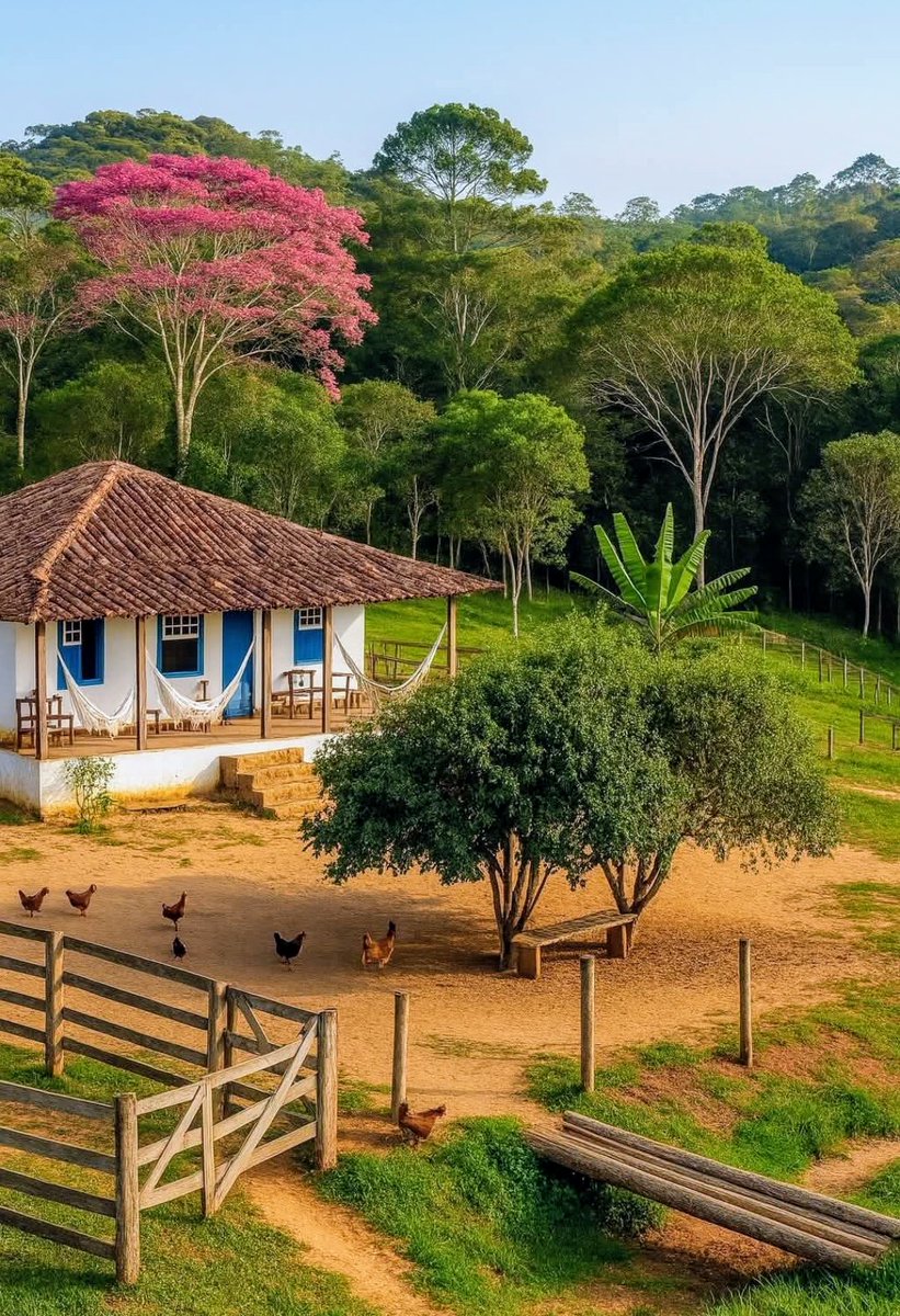 VOCÊ  FICARIA  AQUI POR TRÊS  MESES  , SEM INTERNET  , COMIDA  A VONTADE  POR 2 MILHÕES  DE REAIS  ?