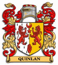 packdrip's tweet photo. My family crest goes hard 🇮🇪 🛡️ ☘️ 

The O’Quinlan motto is “True to the end” https://t.co/DlCxP5Ph3i