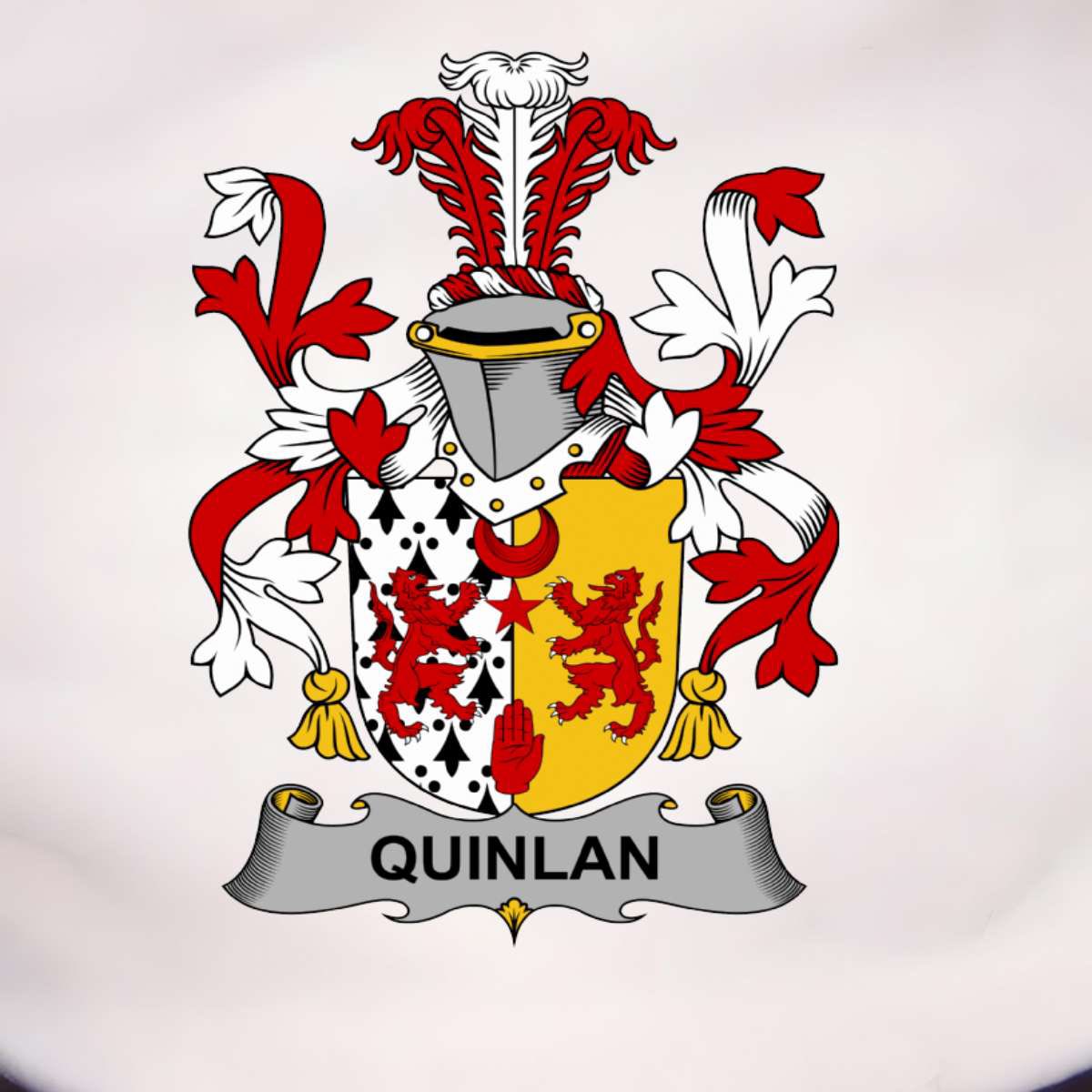packdrip's tweet photo. My family crest goes hard 🇮🇪 🛡️ ☘️ 

The O’Quinlan motto is “True to the end” https://t.co/DlCxP5Ph3i