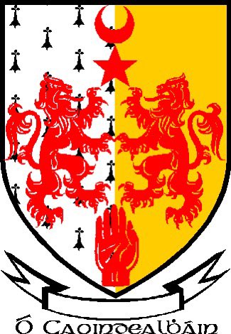packdrip's tweet photo. My family crest goes hard 🇮🇪 🛡️ ☘️ 

The O’Quinlan motto is “True to the end” https://t.co/DlCxP5Ph3i