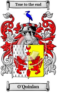 packdrip's tweet photo. My family crest goes hard 🇮🇪 🛡️ ☘️ 

The O’Quinlan motto is “True to the end” https://t.co/DlCxP5Ph3i