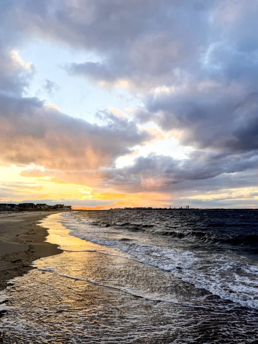 Joseph Fox tweet media