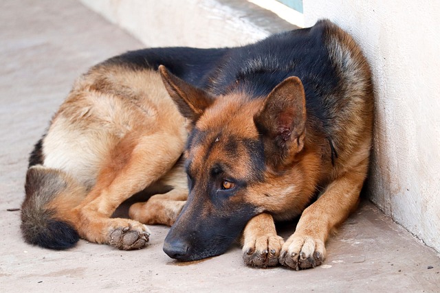 Julie Ylvisaker tweet media