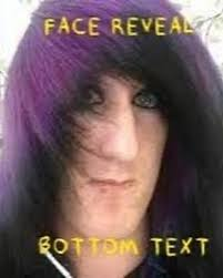 I like pie tweet media