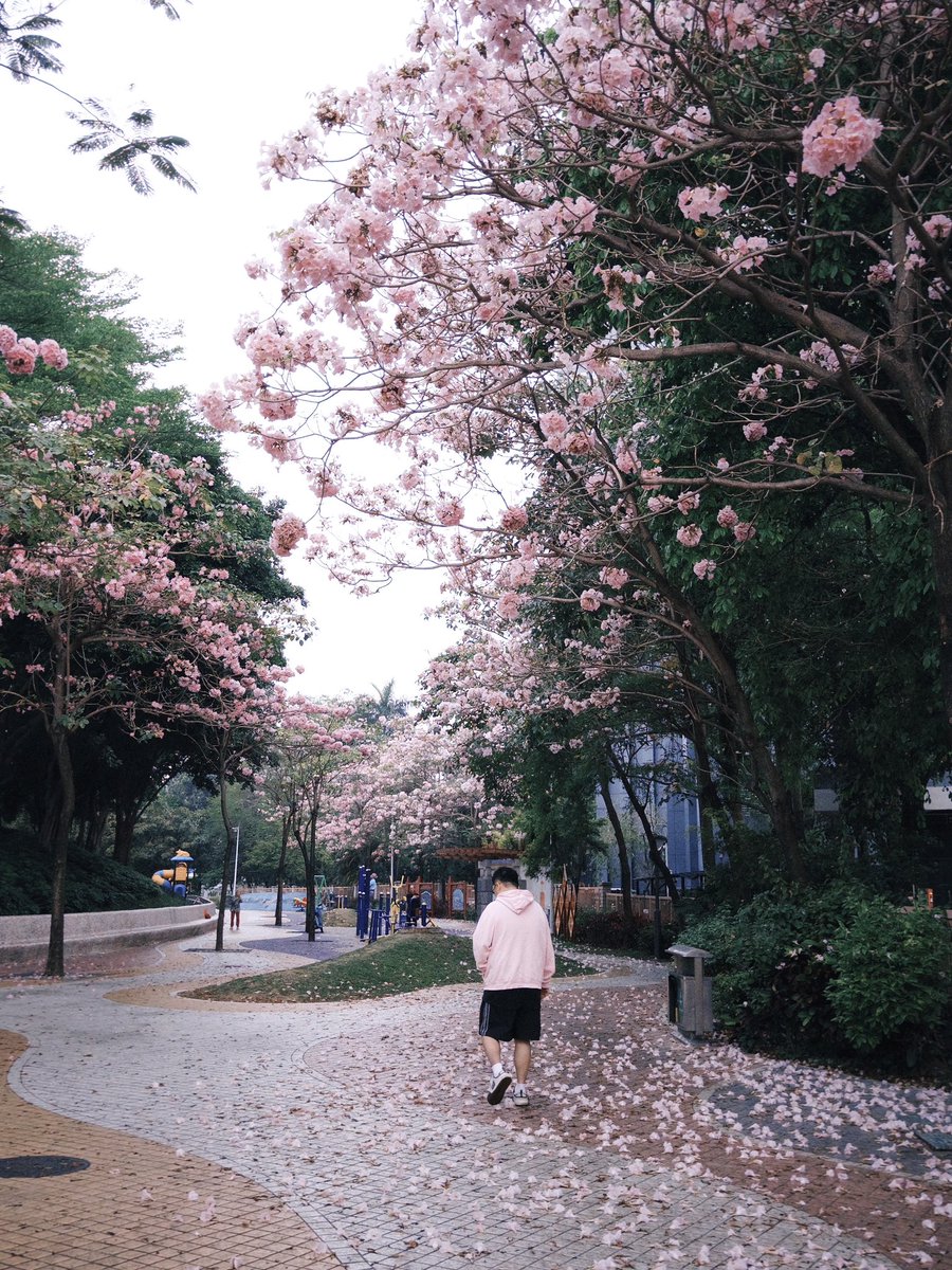 虎丸先生 tweet media