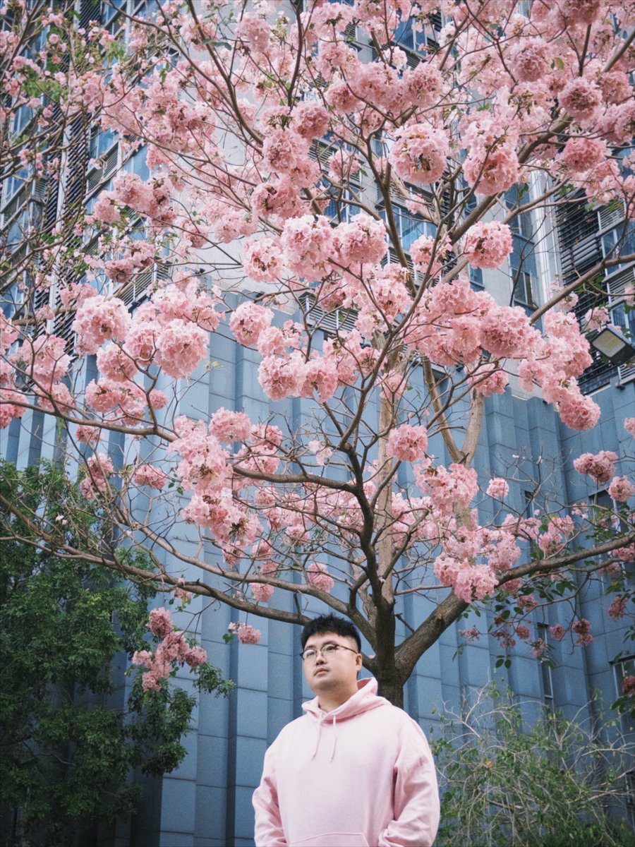 虎丸先生 tweet media