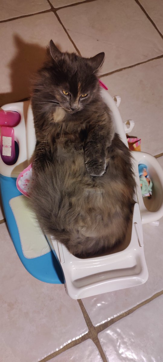 🫧 lulu 🫧 tweet media