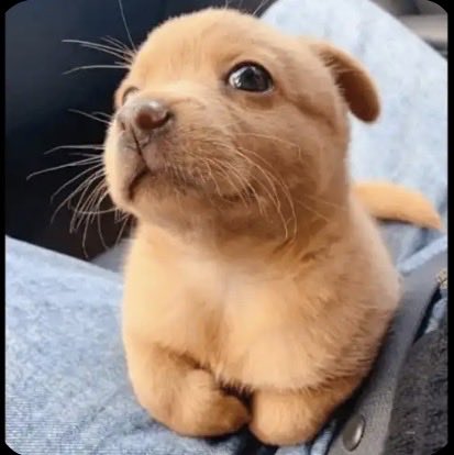 Luis Ortiz tweet media