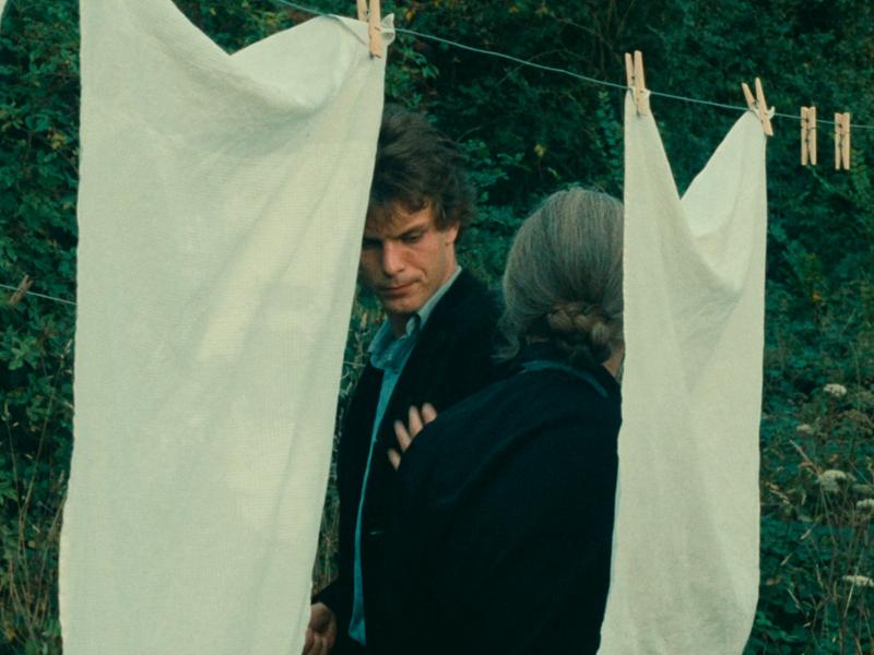 Morelia Film Fest tweet media